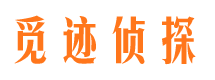 钢城市侦探